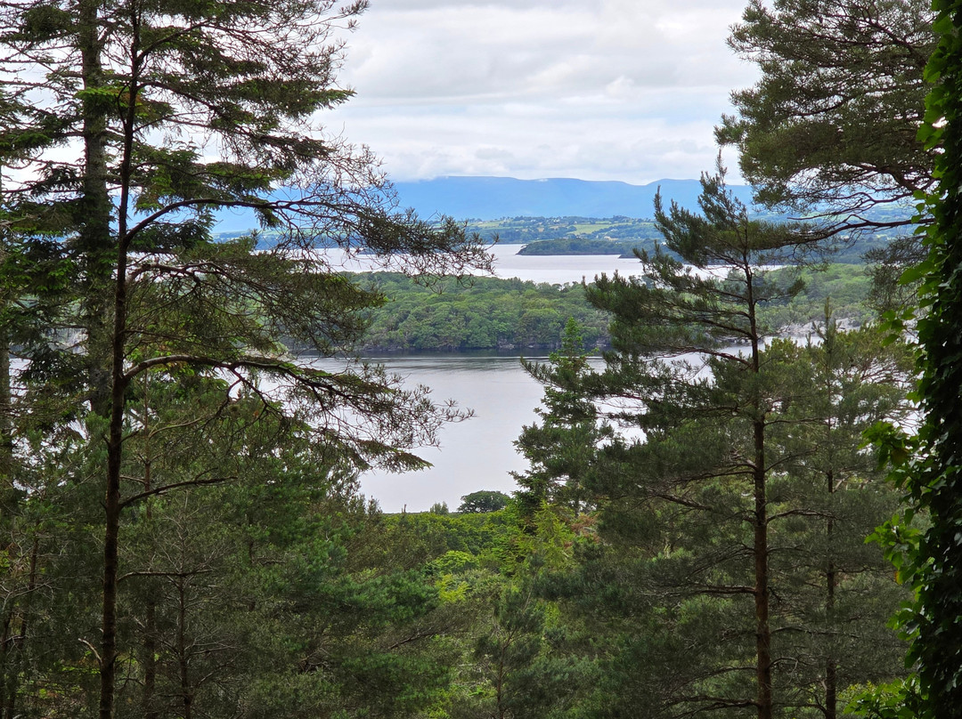 Condor Executive-贝尔法斯特必去景点