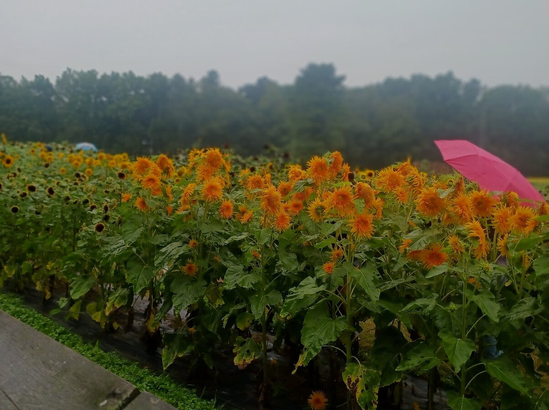 Coppal House Farm-Lee必去景点