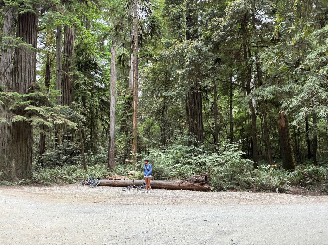 Redwood Rides-Hiouchi必去景点