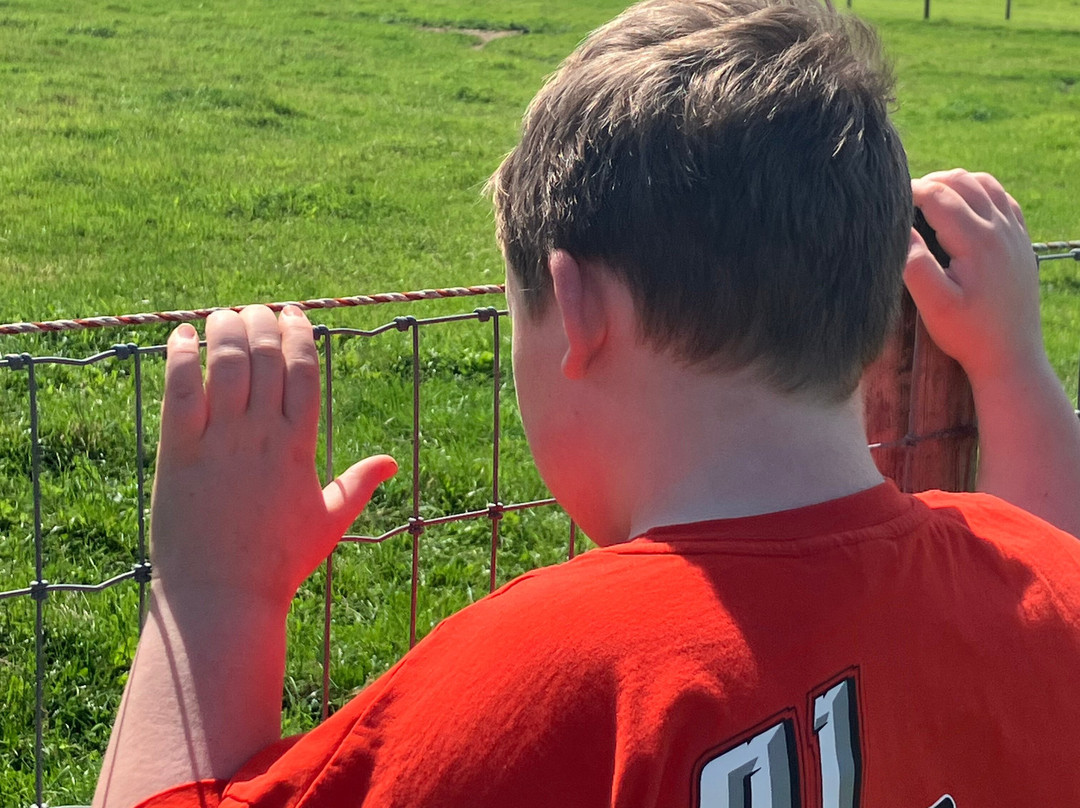 Red Mountain Open Farm-Donore必去景点