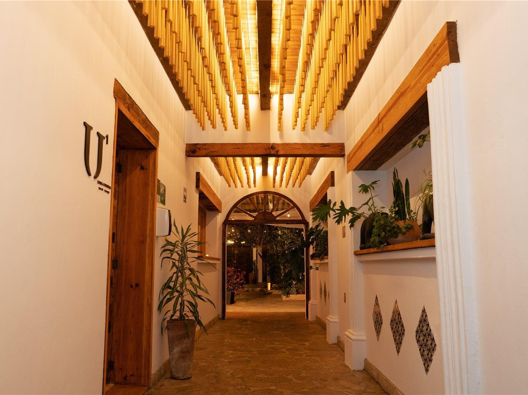 圣克里斯托瓦尔-德拉斯卡萨斯酒店住宿-Sombra del Agua Hotel San Cristobal