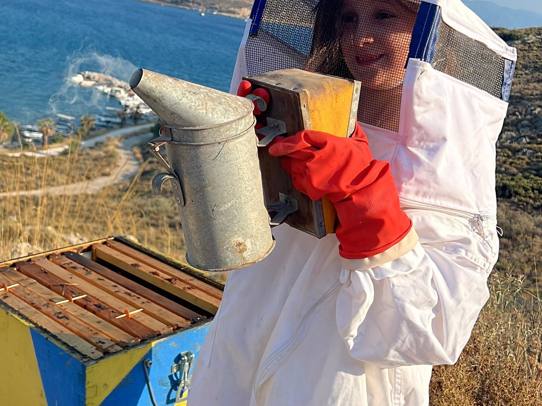 So! Bee-纳夫普利翁必去景点