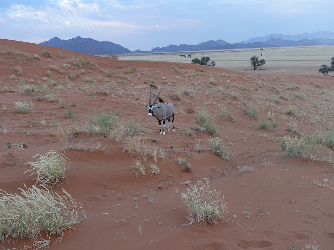 Namib-Naukluft National Park-赛斯瑞必去景点