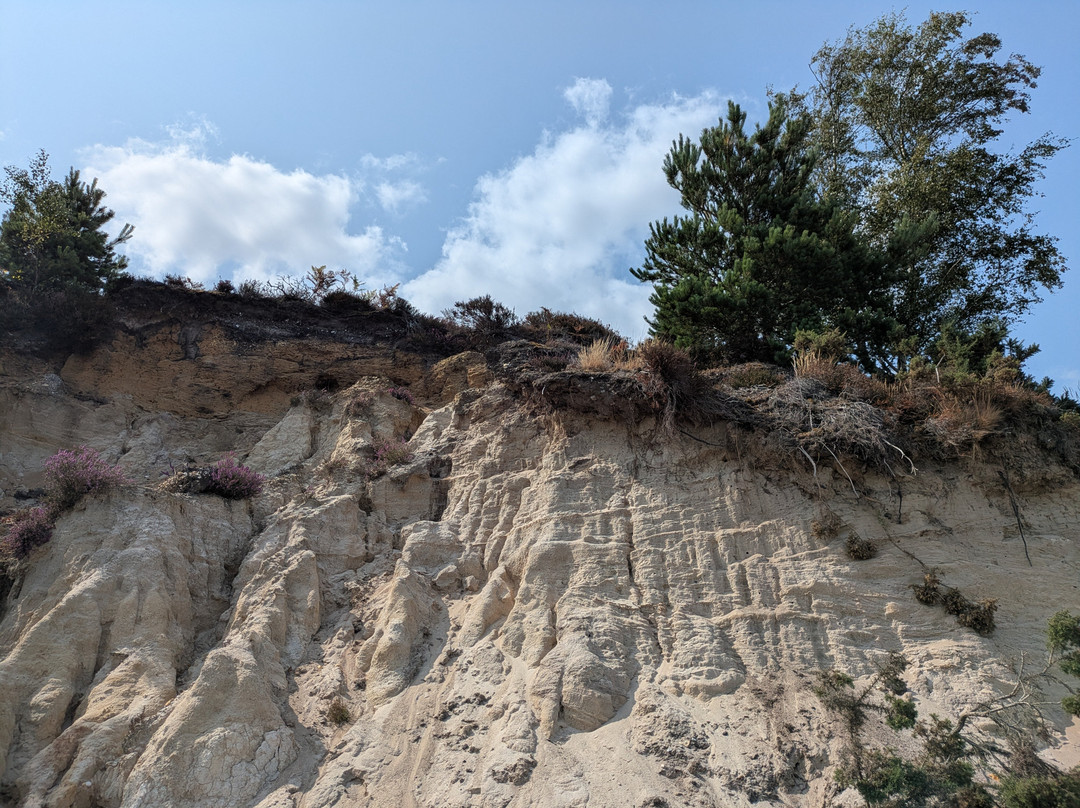 RSPB Arne-Arne必去景点