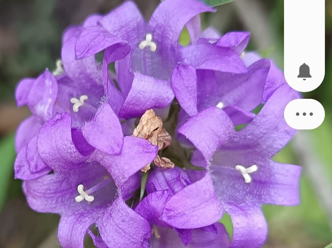 慕吉伽别墅酒店主图