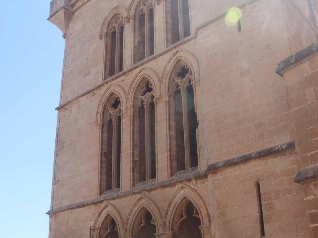 Terrazas de la Catedral de Palma-马洛卡帕尔马必去景点