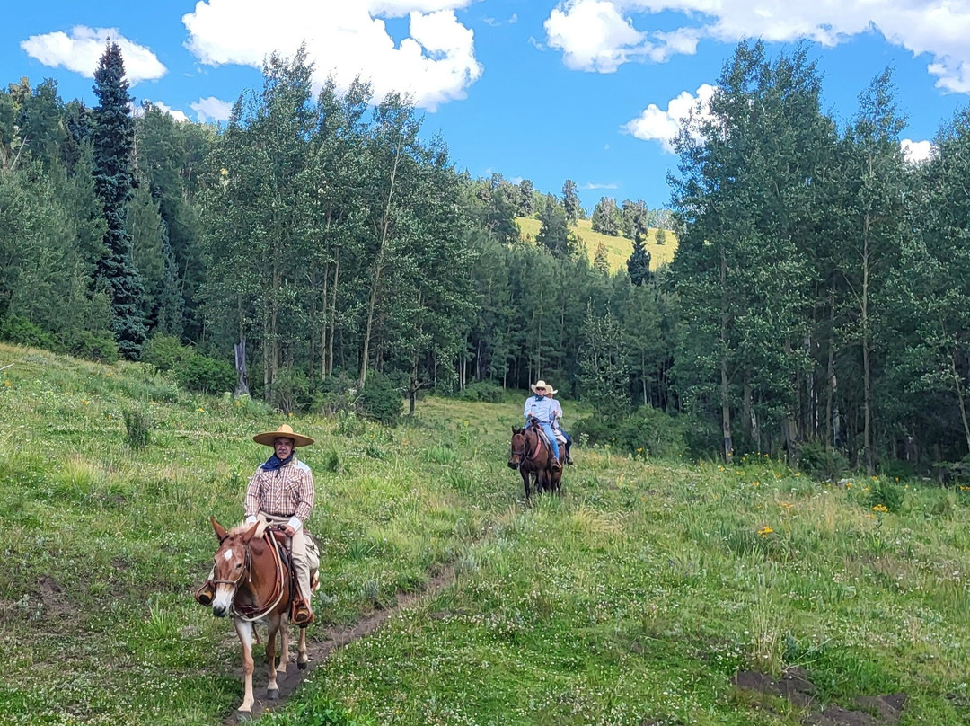 Cloud 9 Trails-Pecos必去景点