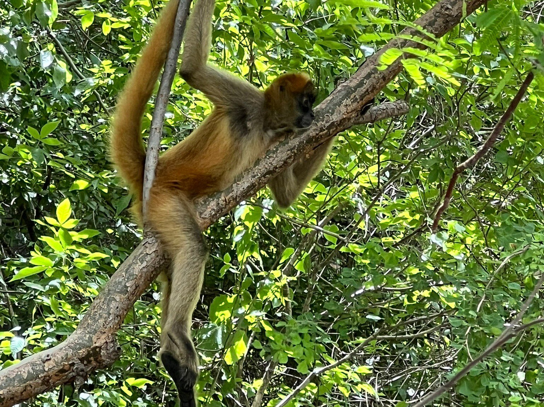 Water And Land Activities-Playa Panama必去景点