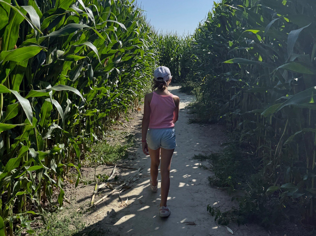 Laby'Parc du Touquet-Saint-Josse必去景点