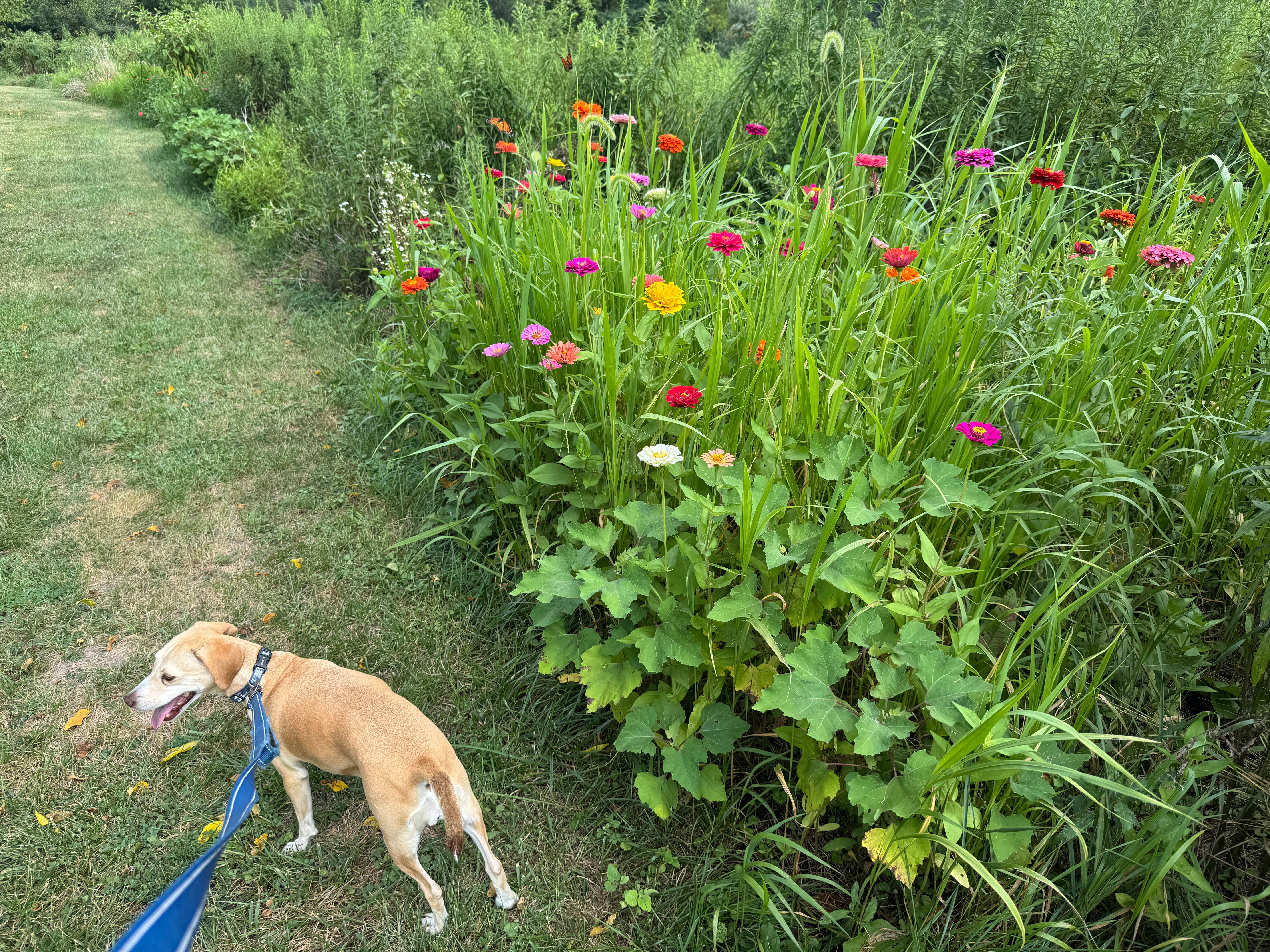 Battlefield Bed and Breakfast Inn-浴室