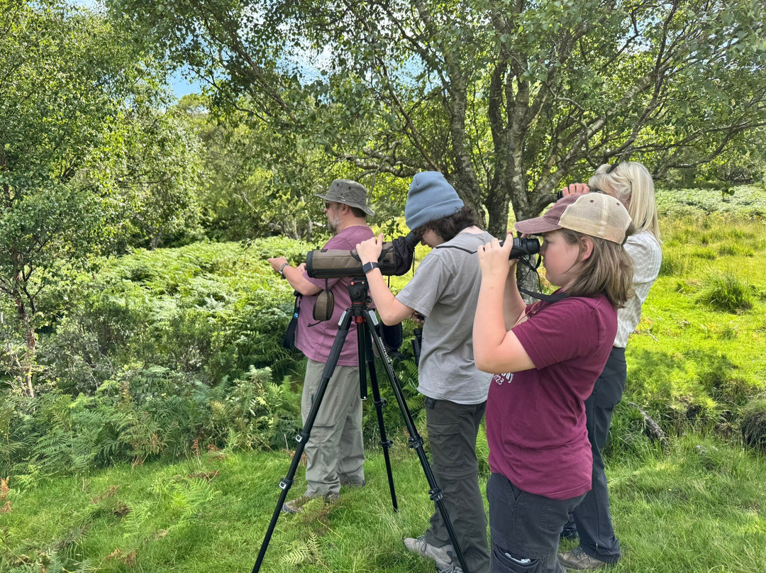 Mull Magic Wildlife - Day Tours-Tobermory必去景点