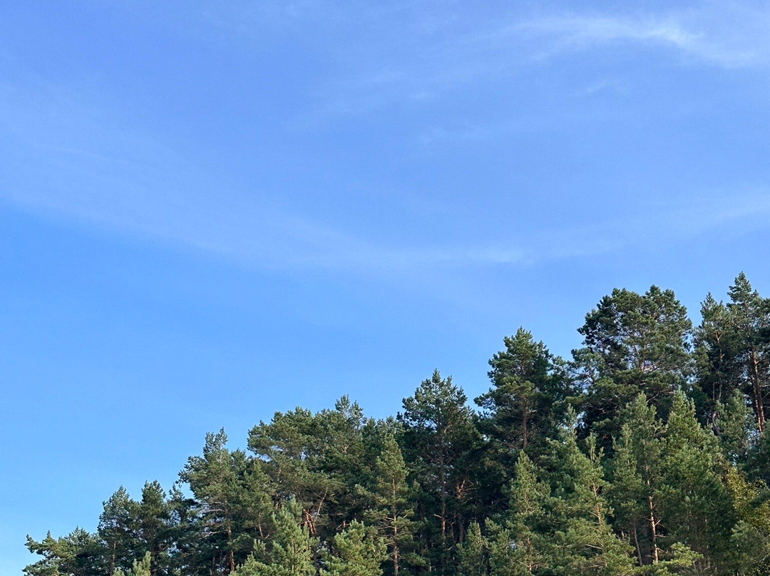 Rezerwat "Katy Rybackie"-Katy Rybackie必去景点