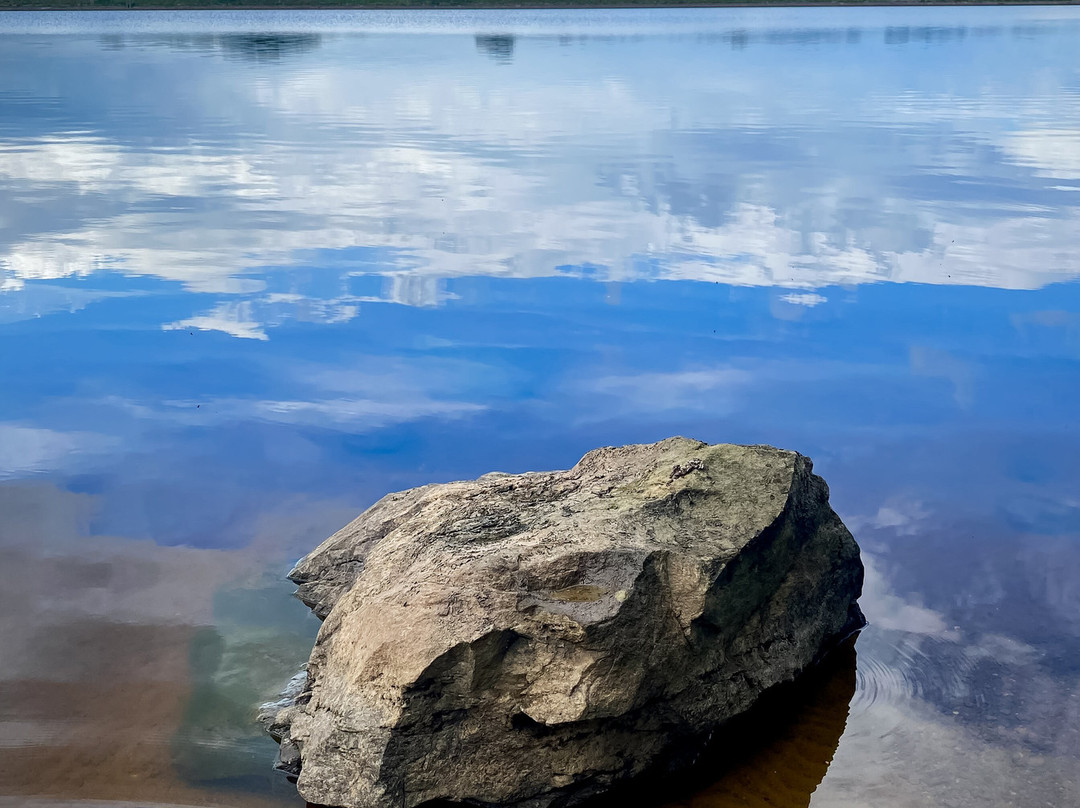 Scaling Dam Reservoir-Guisborough必去景点