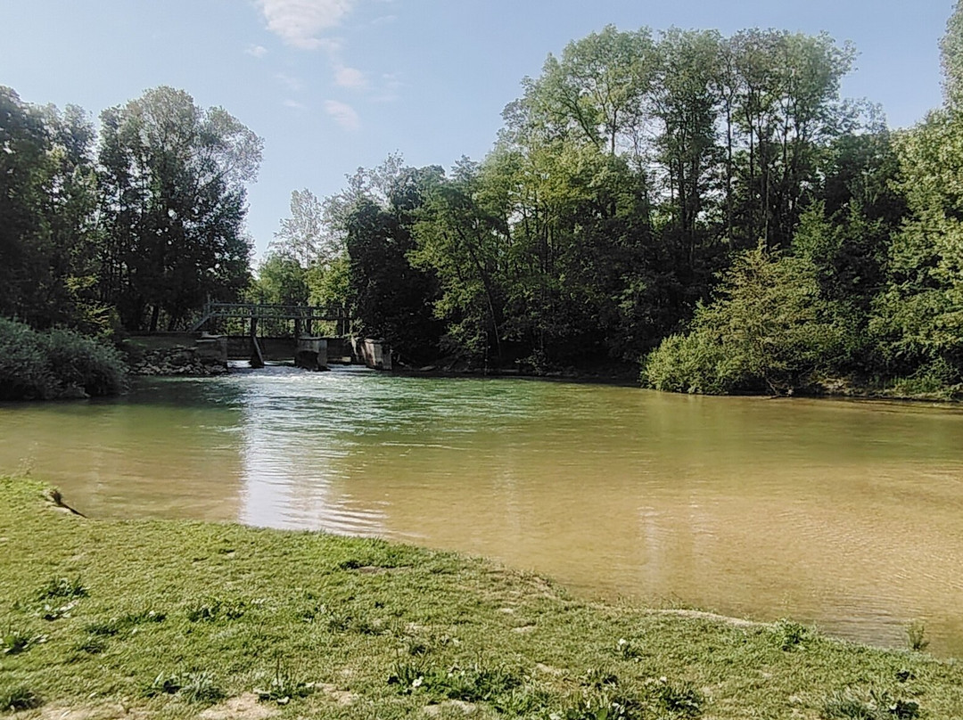 Plage D'arcis Sur Aube-Arcis sur Aube必去景点