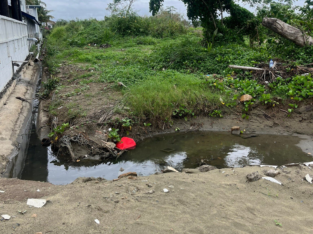 Wailoaloa Beach-纳迪市必去景点