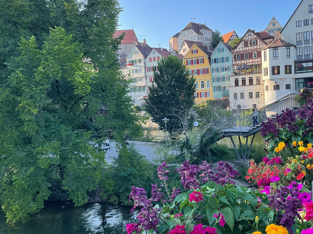 Domizil Tubingen主图