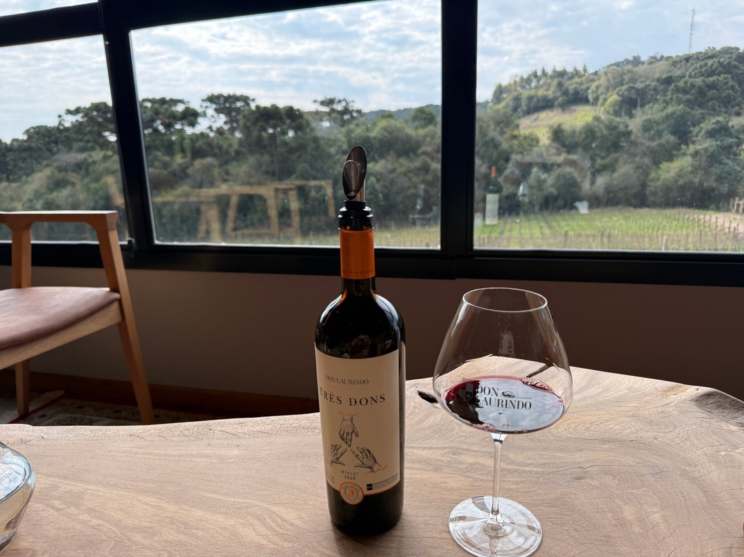 Vinicola Dom Cândido-本图贡萨尔维斯必去景点