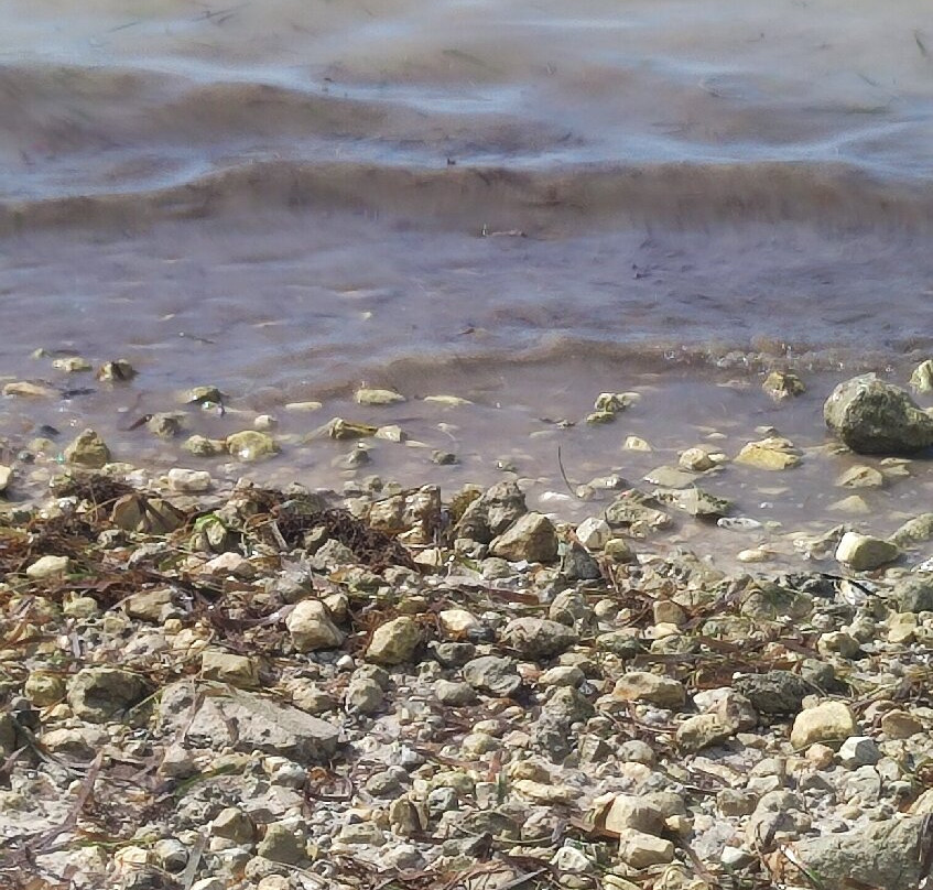 Playa Bonita-坎佩切州必去景点