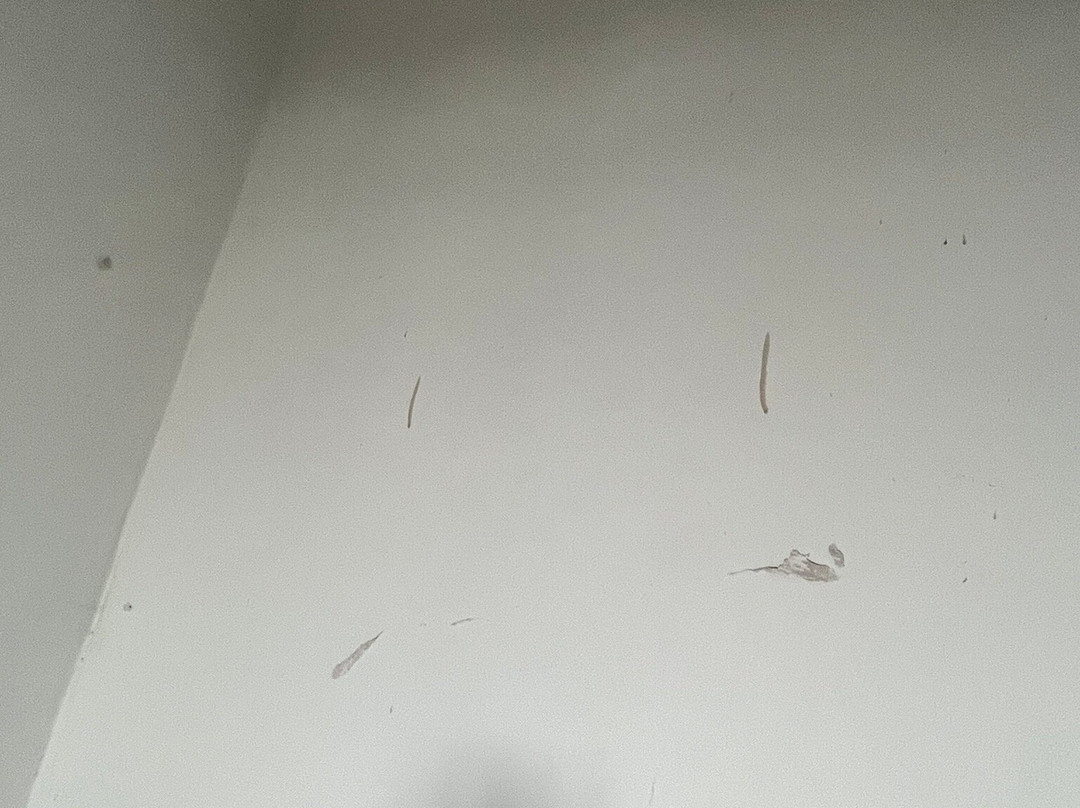 AsiaCamp Resort主图