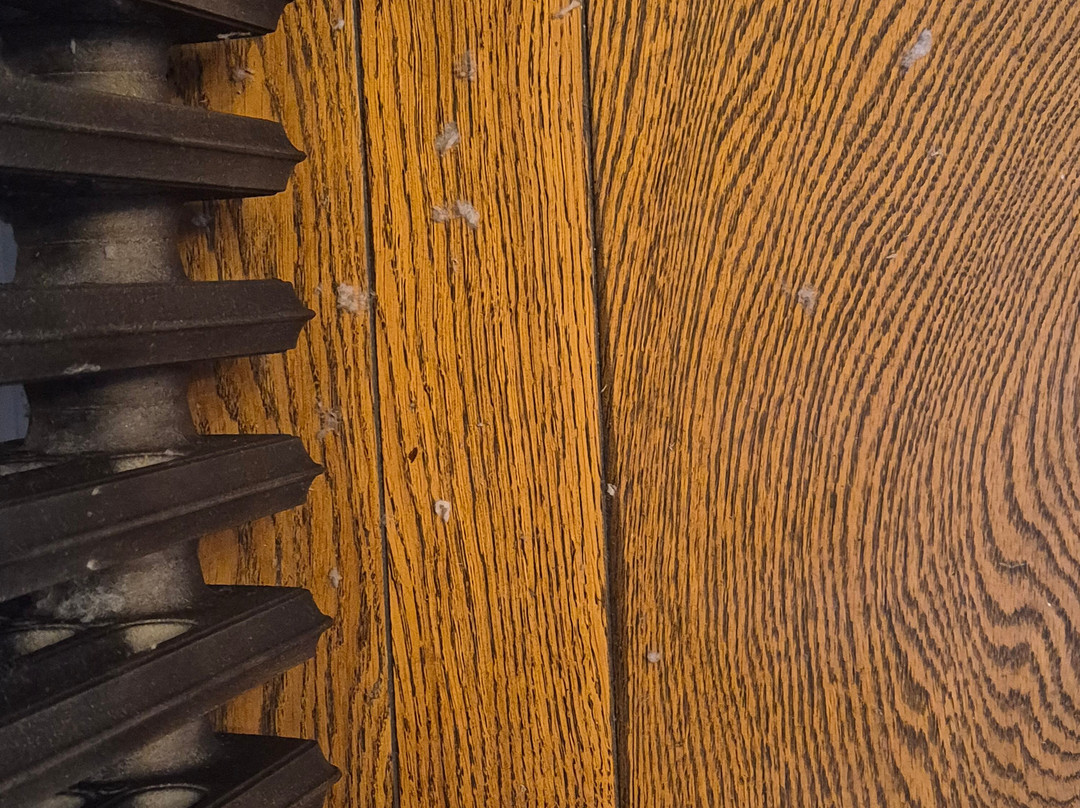 The Broad Leys Accommodation主图