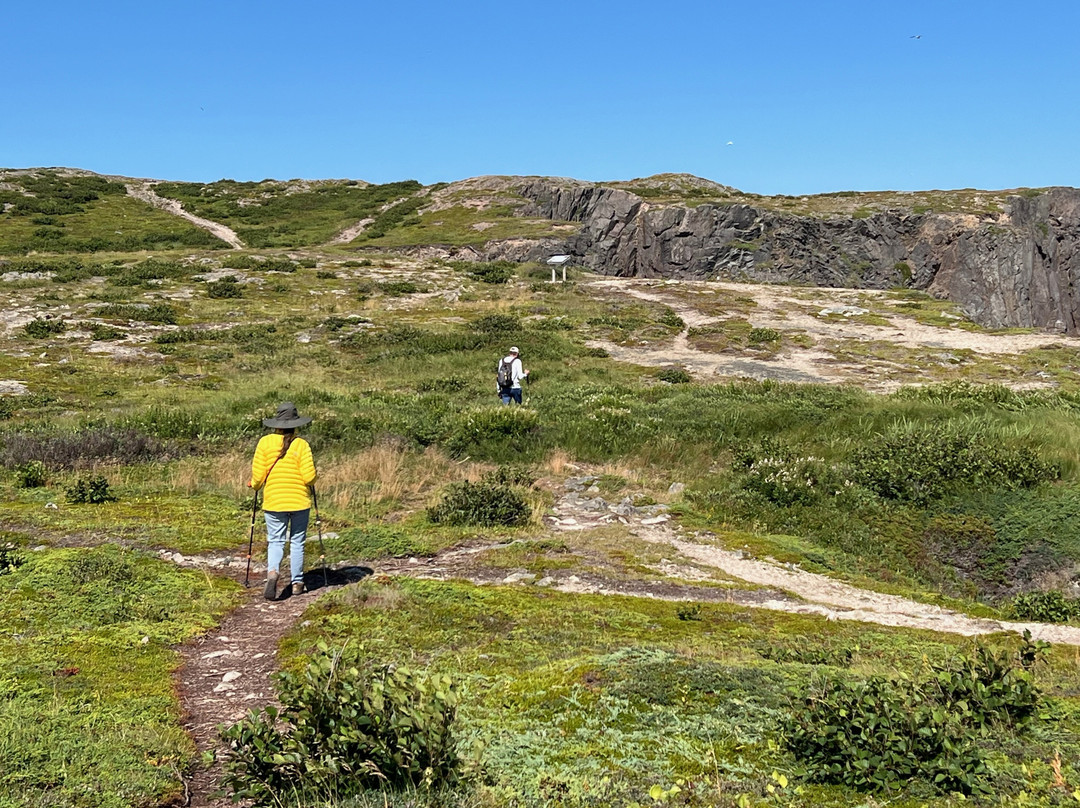 Spiller's Cove-Twillingate必去景点