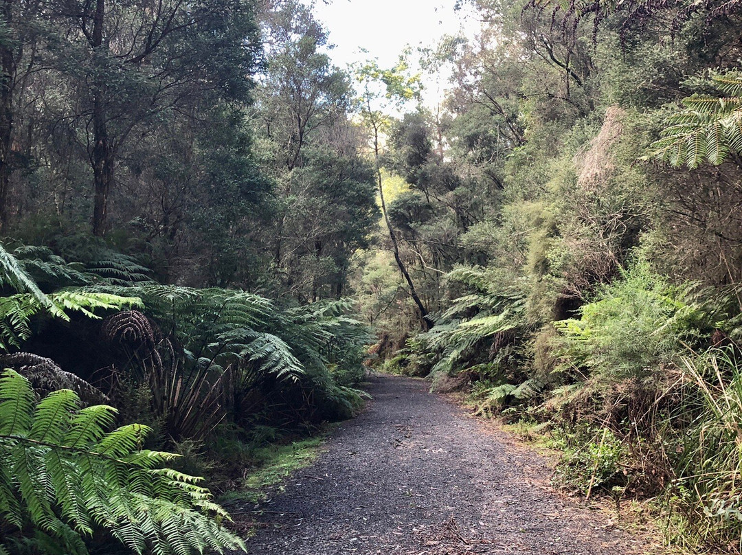 Nangara Reserve-Jindivick必去景点