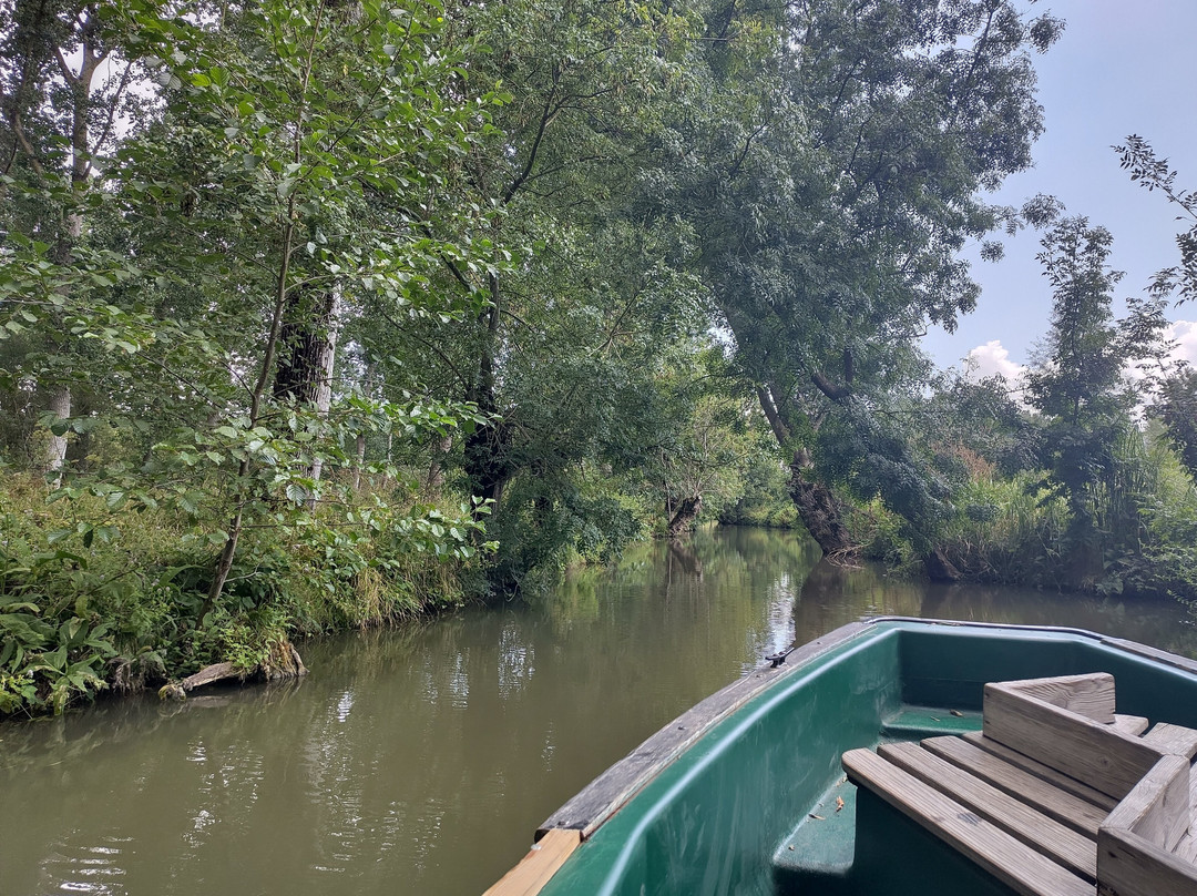 Embarcadere Cardinaud - Marais poitevin-Nouvelle-Aquitaine必去景点
