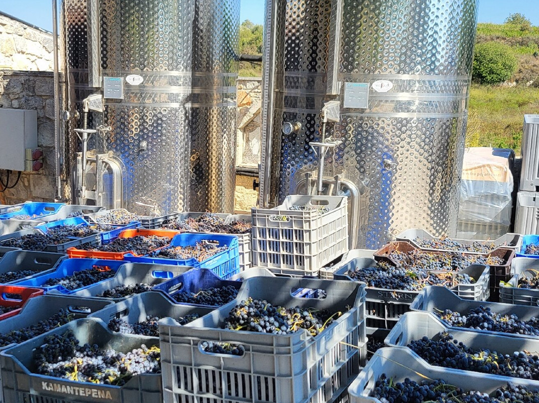 Sterna Winery-卡西卡斯必去景点