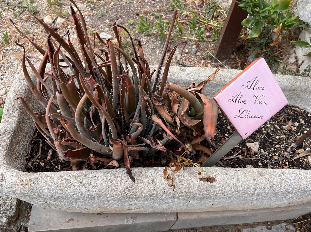 Jardin des Herbes-La Garde-Adhemar必去景点
