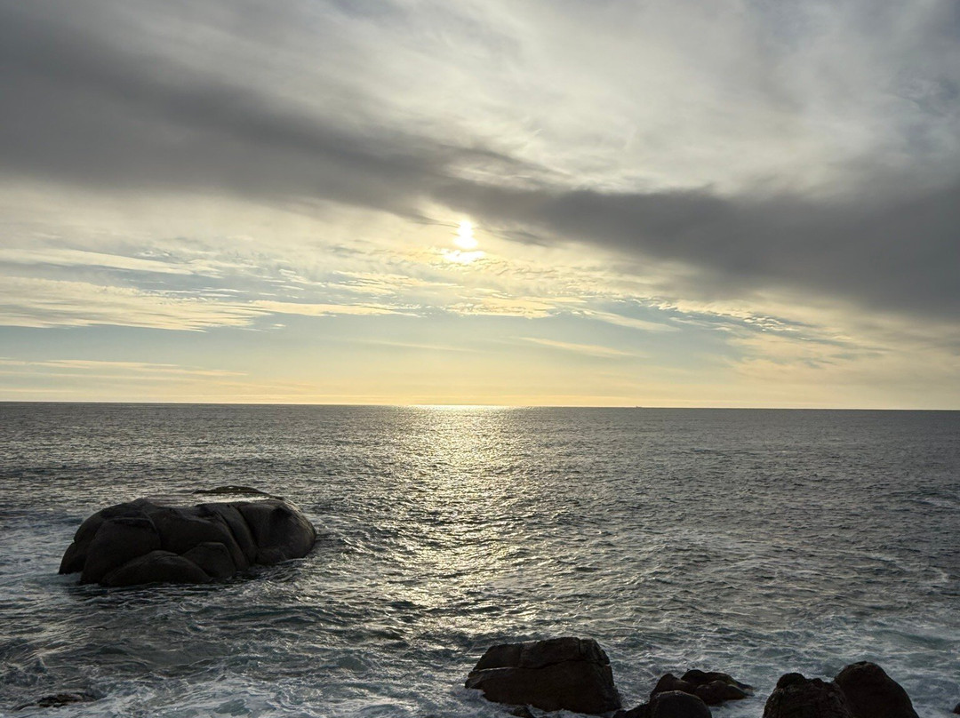 Taylor-Made Adventures-Cape Winelands District Municipality必去景点