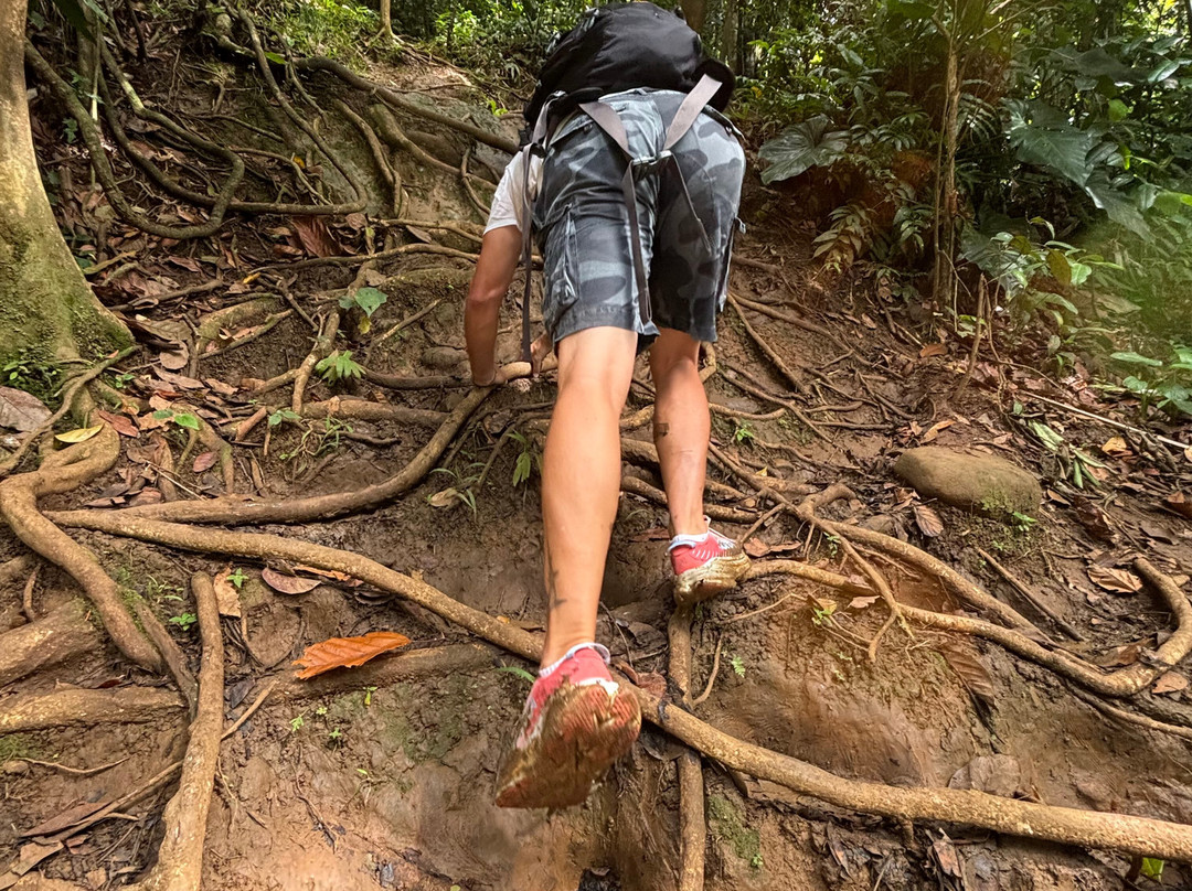 Saut de la Lézarde-Petit-Bourg必去景点