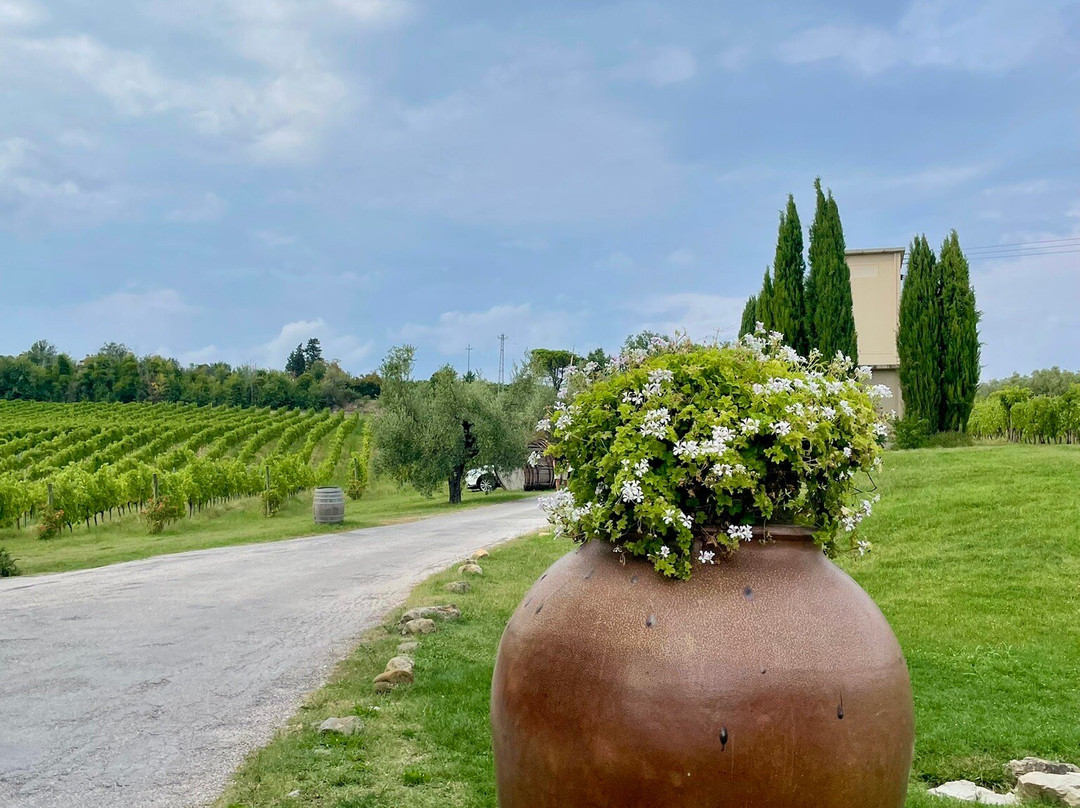 Azienda Agraria Guerrieri-Piagge必去景点