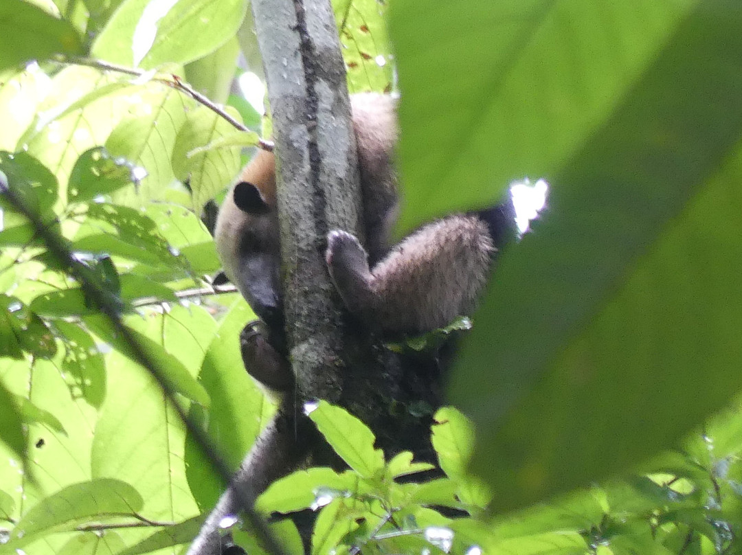 Drake Divers Costa Rica-德雷克湾必去景点