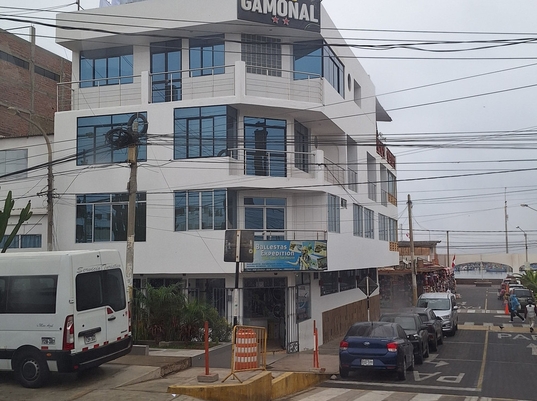 Hotel El Gamonal主图