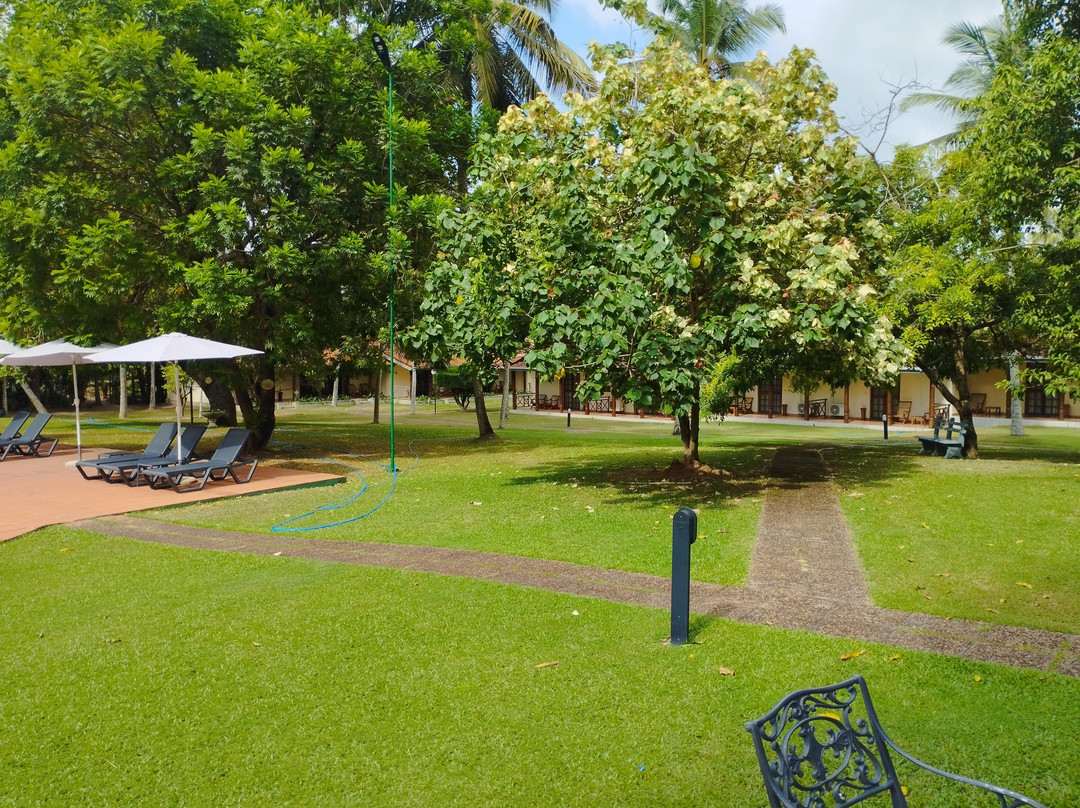 塔玛林德树酒店主图