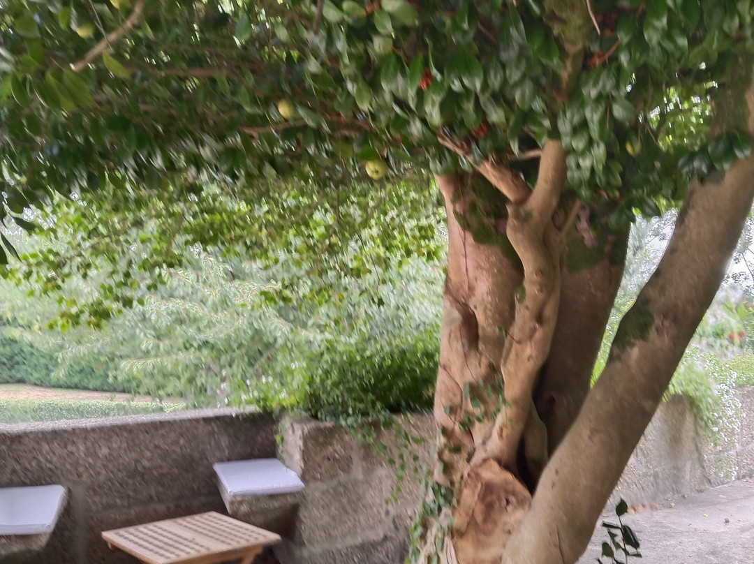 Quinta das Lavandeiras - Caldas de Vizela主图