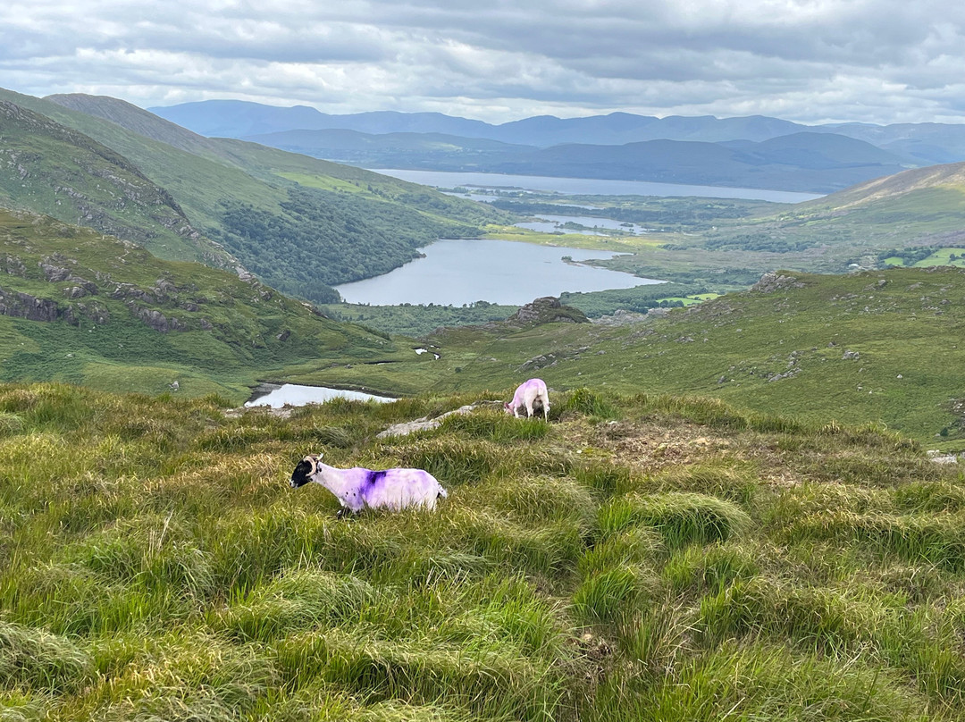 格林尼世奇-肯梅尔必去景点