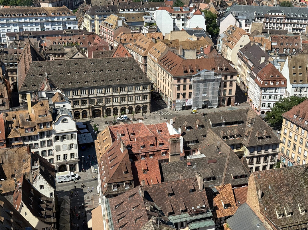 Place Gutenberg-斯特拉斯堡必去景点