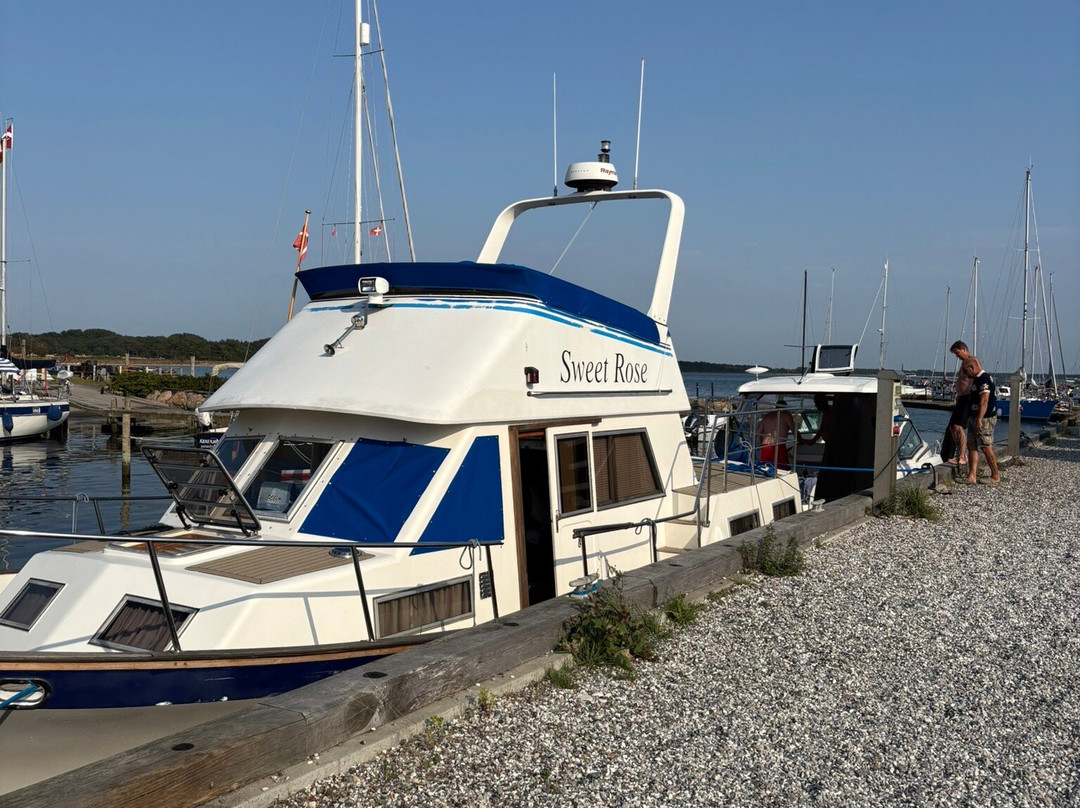 Maarup Havn-马璐必去景点