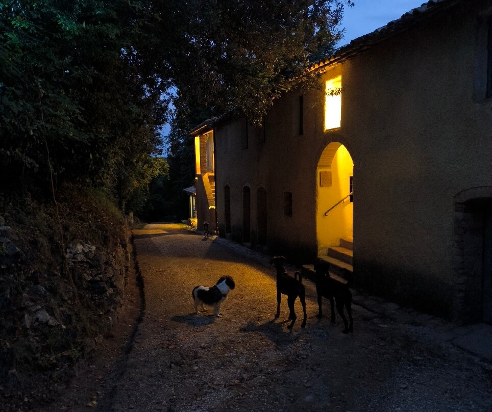 Agriturismo Borgo Spante主图