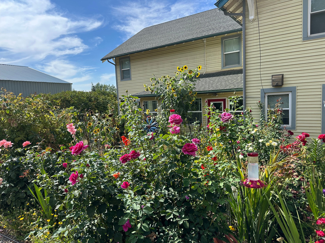 Osprey Inn B & B主图