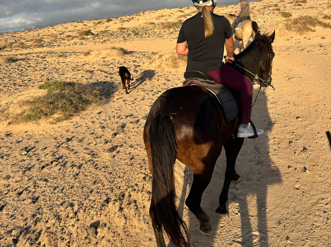 Lanzarote a Caballo-兰萨罗特必去景点