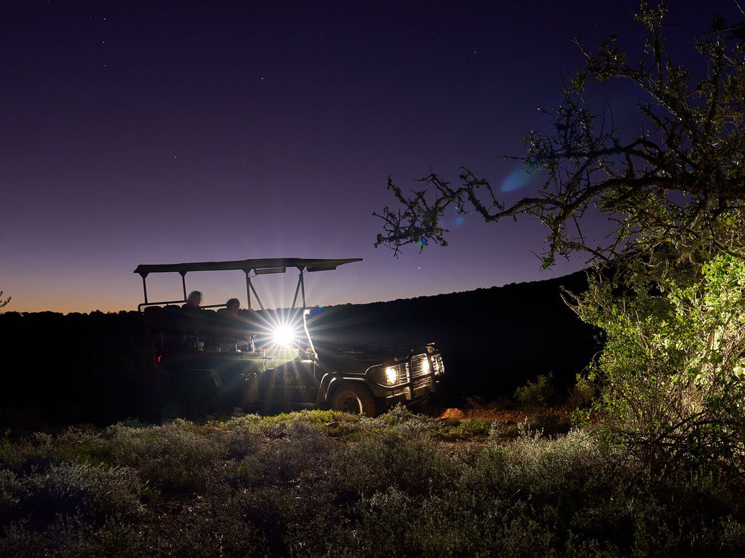 Buffelsdrift Game Lodge - Activities-奥兹洪必去景点