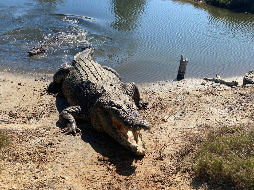 Koorana Crocodile Farm-Coowonga必去景点