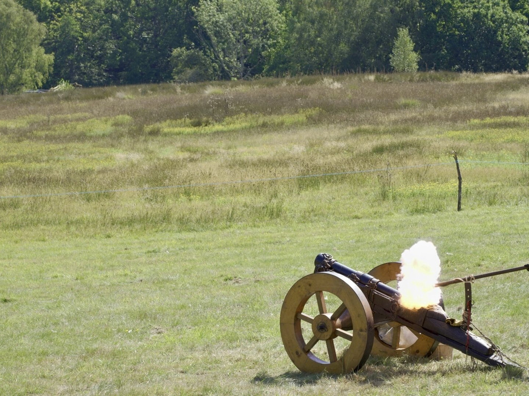 England's Medieval Festival-Nutley必去景点