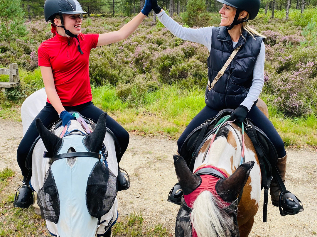 Eastmoors Forest Rides-St Leonards必去景点