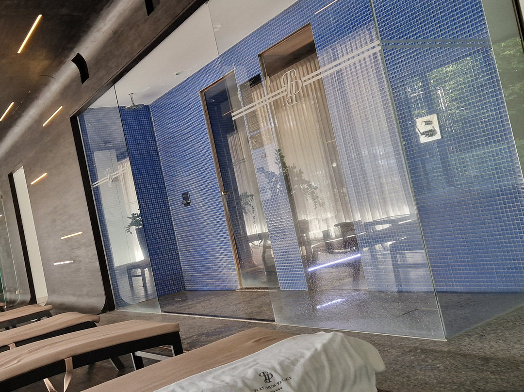 Platinum Palace Hotel主图