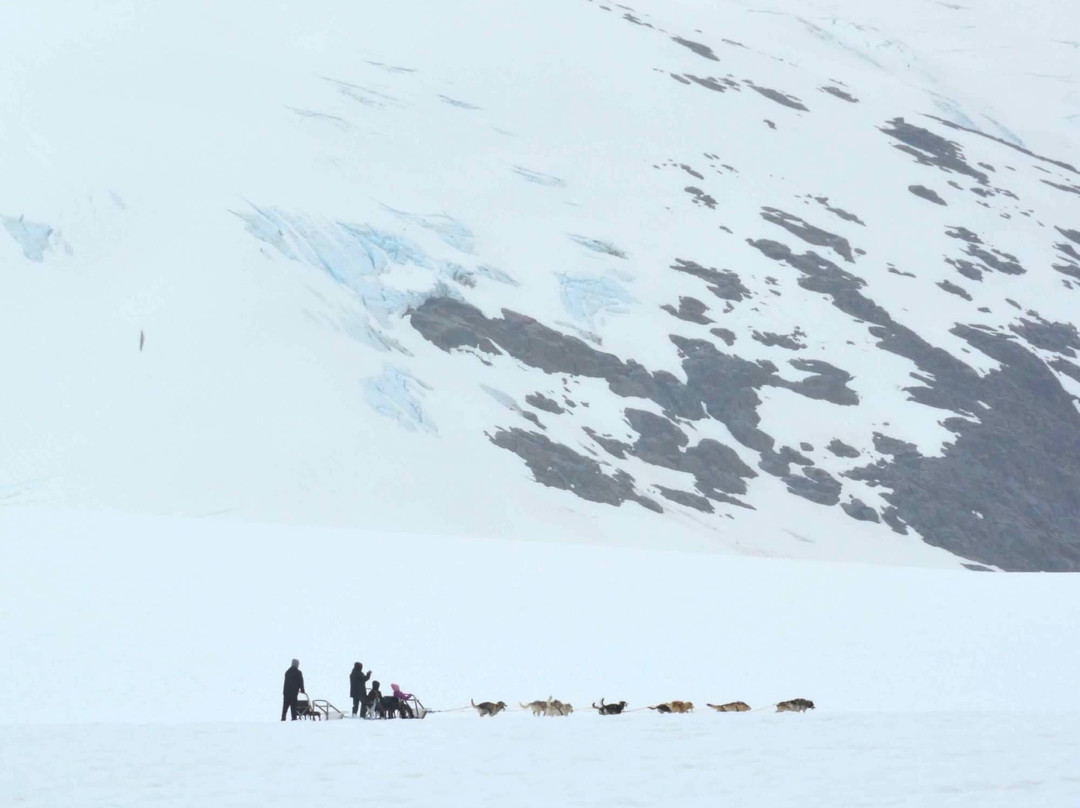 海岸直升机之旅-朱诺必去景点