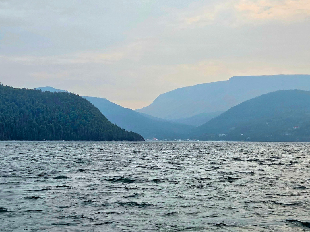 Wild Gros Morne-Trout River必去景点