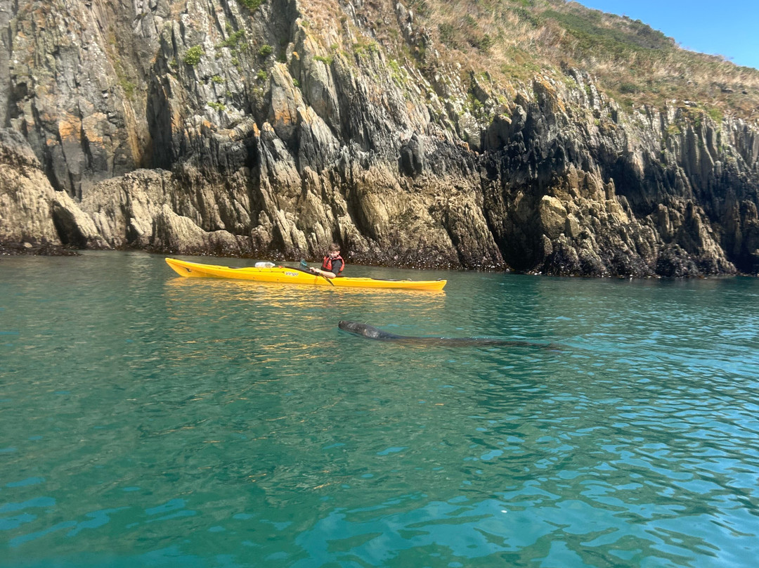Go with the flow - Sea Kayaking North Devon-Braunton必去景点